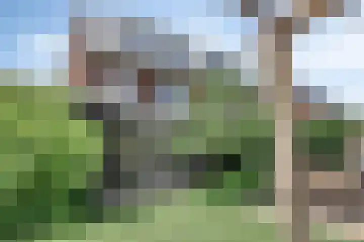 Tusschen beide Wegen 10 Rijnsburg thumbnail 30