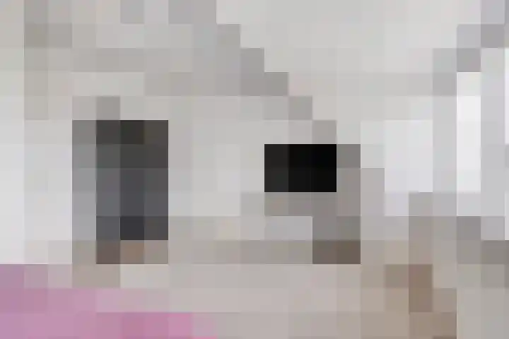 Tusschen beide Wegen 10 Rijnsburg thumbnail 44