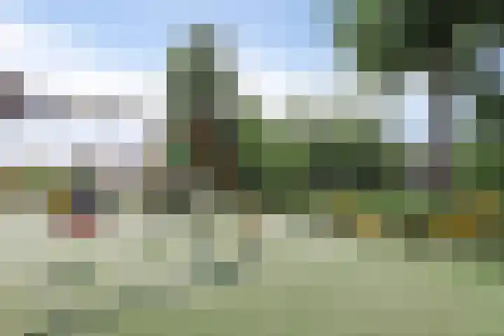 Tusschen beide Wegen 10 Rijnsburg thumbnail 50