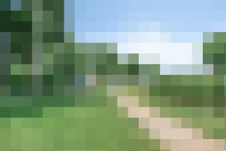 Tusschen beide Wegen 10 Rijnsburg thumbnail 51