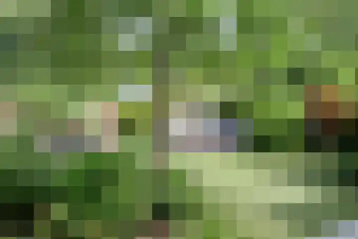Tusschen beide Wegen 10 Rijnsburg thumbnail 6