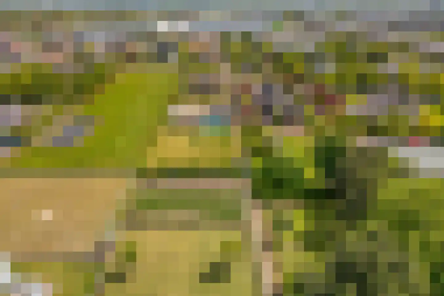 Tusschen beide Wegen 14 Rijnsburg thumbnail 35
