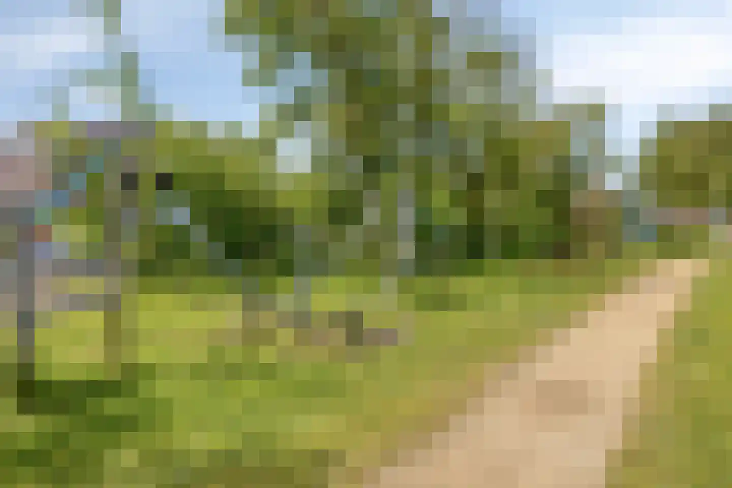Tusschen beide Wegen 14 Rijnsburg thumbnail 38