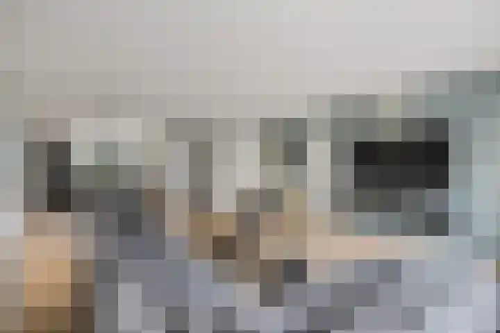 Tusschen beide Wegen 3 Rijnsburg thumbnail 15