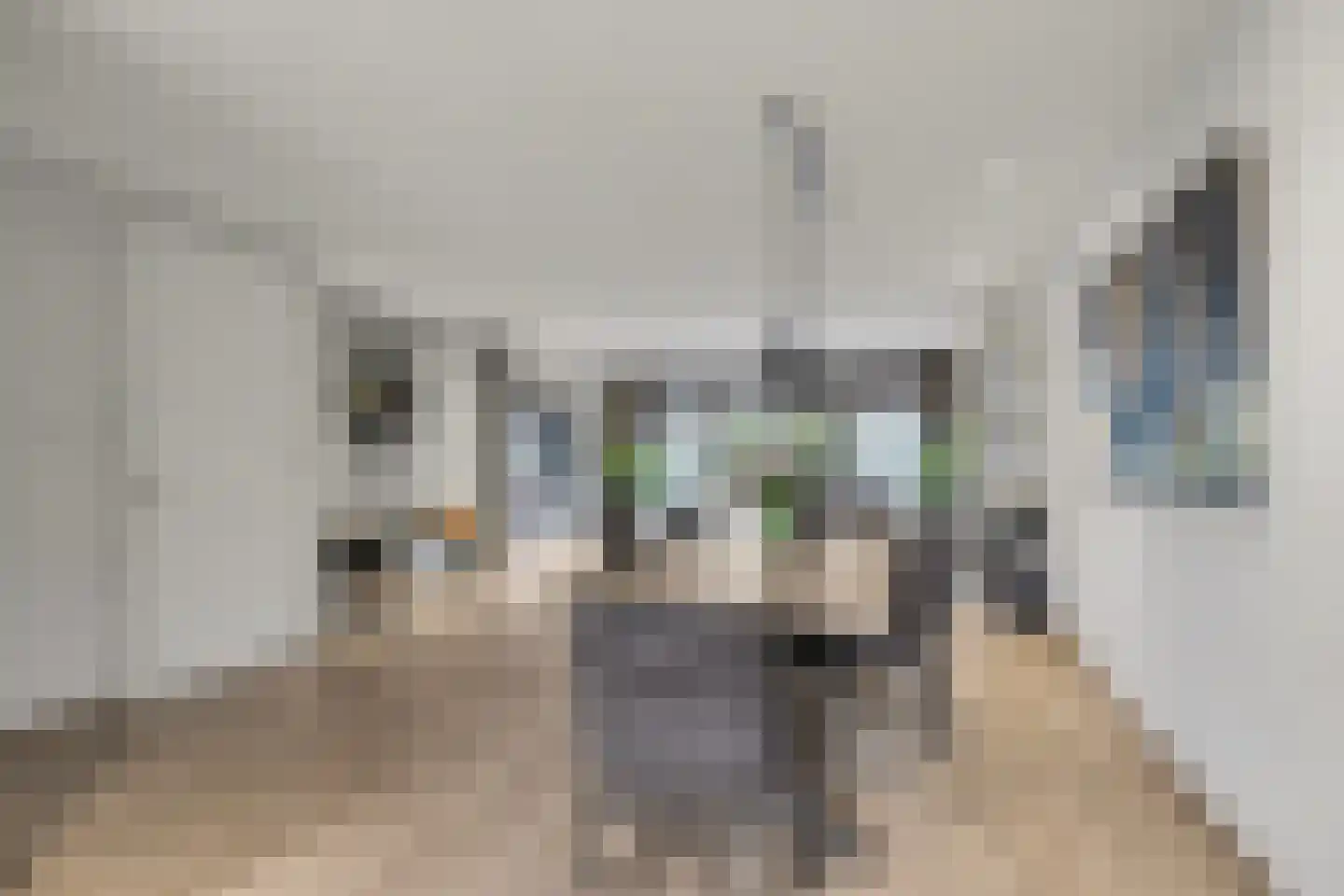 Tusschen beide Wegen 3 Rijnsburg thumbnail 16