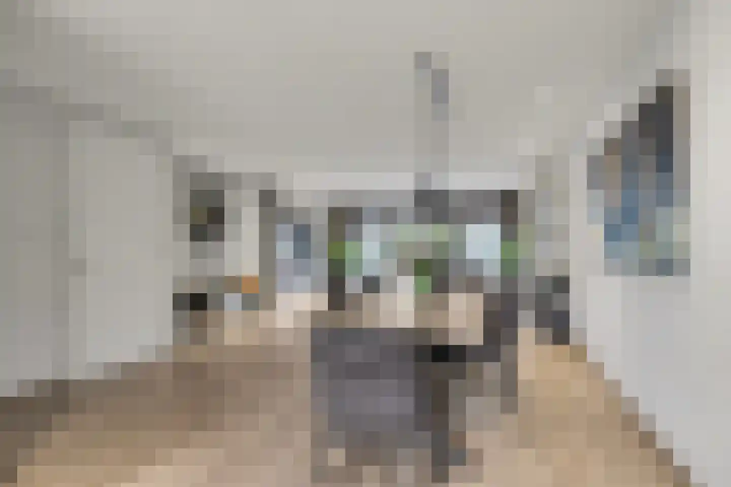 Tusschen beide Wegen 3 Rijnsburg thumbnail 17