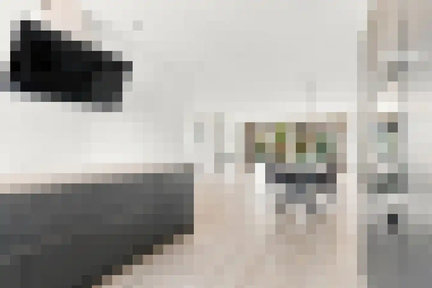 Tusschen beide Wegen 3 Rijnsburg thumbnail 18