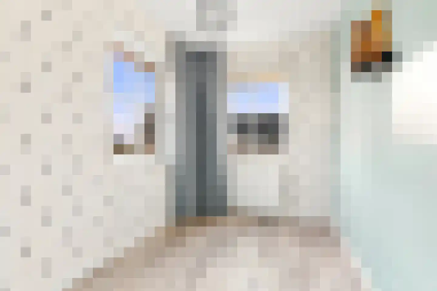 Tusschen beide Wegen 3 Rijnsburg thumbnail 23
