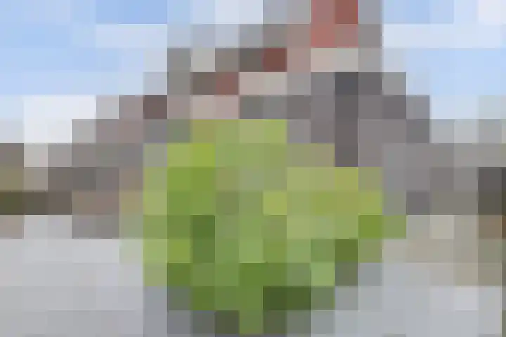 Tusschen beide Wegen 3 Rijnsburg thumbnail 38