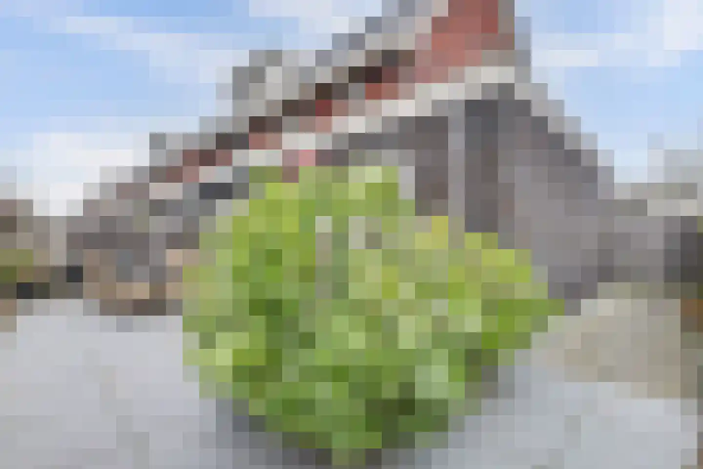 Tusschen beide Wegen 3 Rijnsburg thumbnail 38