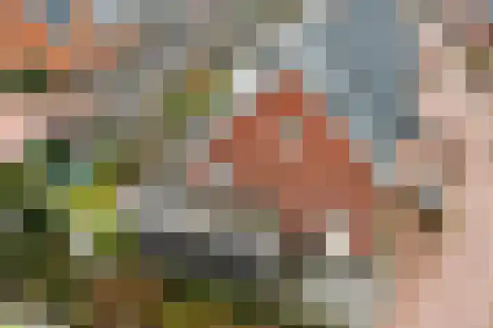 Tusschen beide Wegen 3 Rijnsburg thumbnail 45