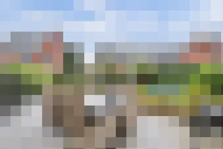 Tusschen beide Wegen 3 Rijnsburg thumbnail 6