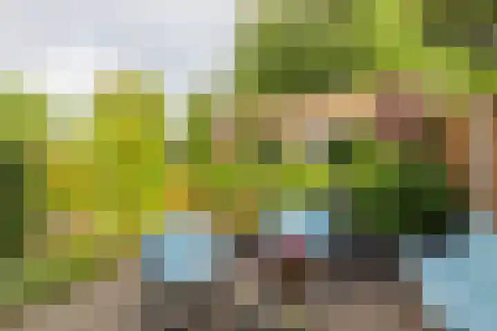 Tusschen beide Wegen 8 Rijnsburg thumbnail 18