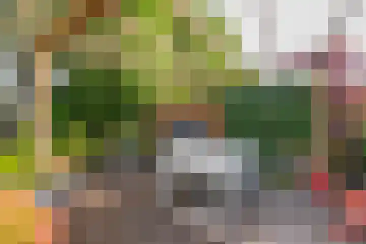 Tusschen beide Wegen 8 Rijnsburg thumbnail 19