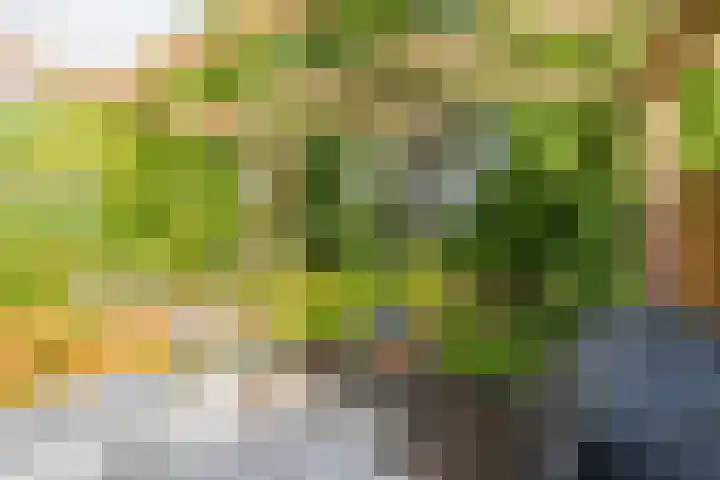 Tusschen beide Wegen 8 Rijnsburg thumbnail 20