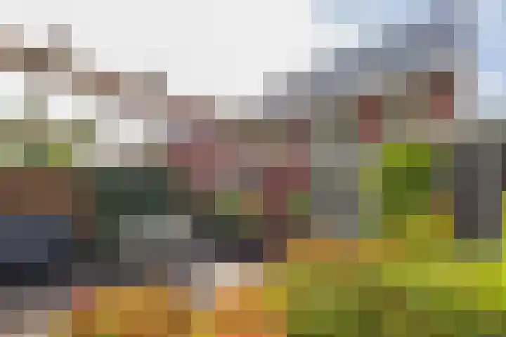 Tusschen beide Wegen 8 Rijnsburg thumbnail 22