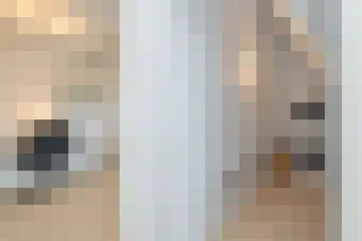 Tusschen beide Wegen 8 Rijnsburg thumbnail 37