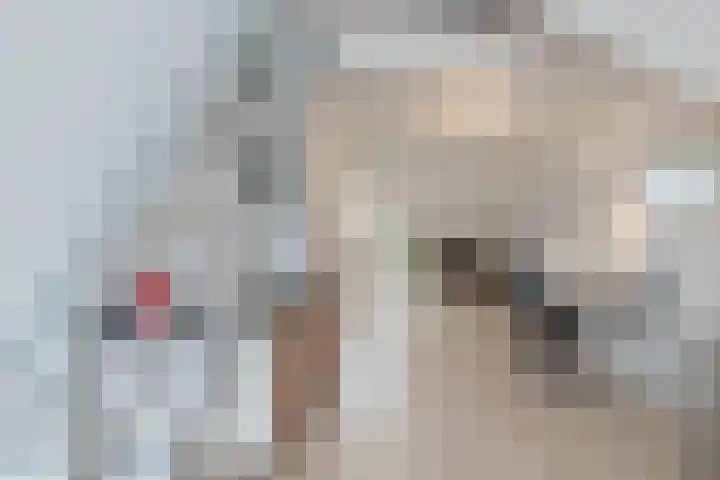 Tusschen beide Wegen 8 Rijnsburg thumbnail 44