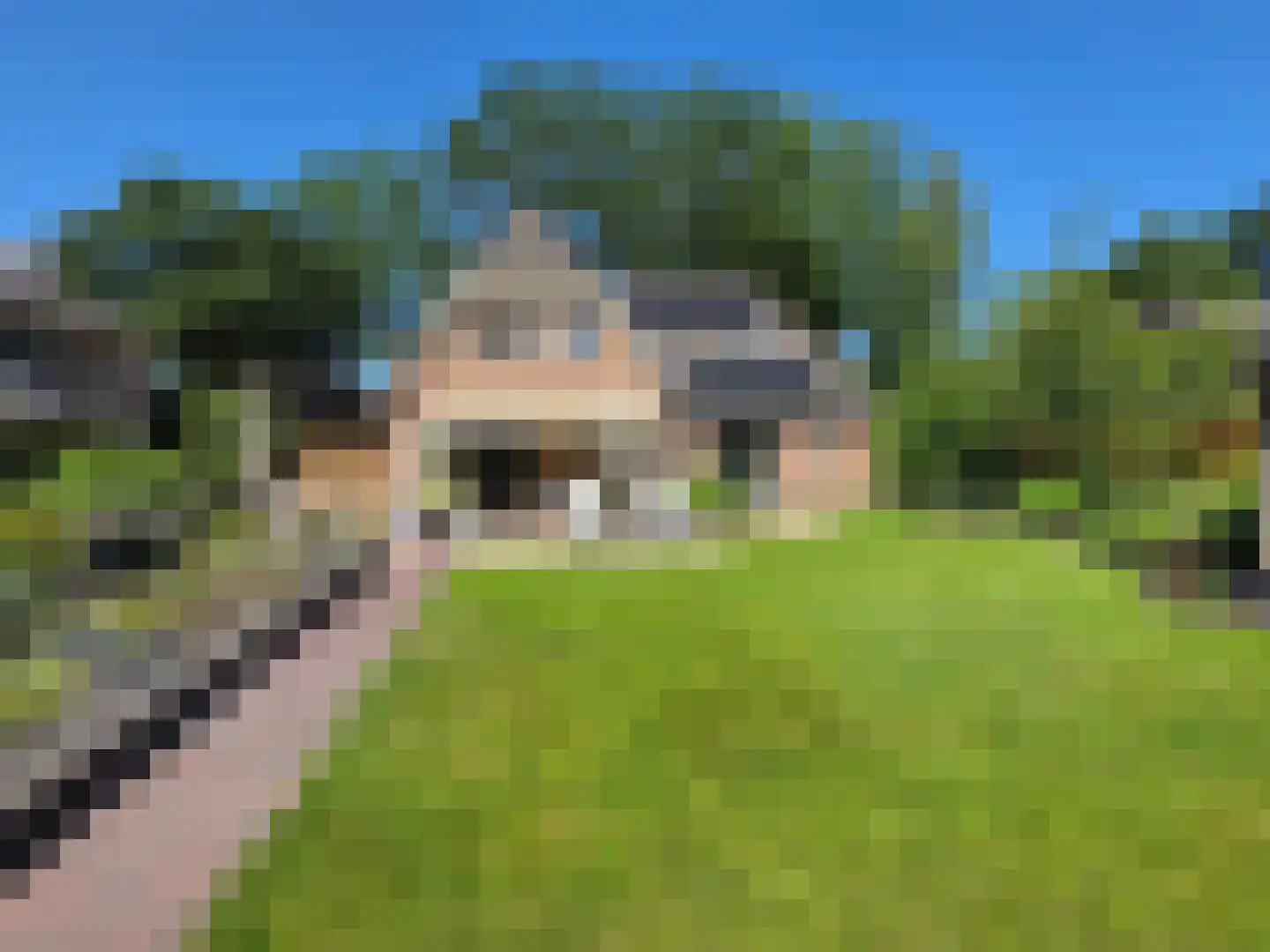 Tusschendarp 3 Diever