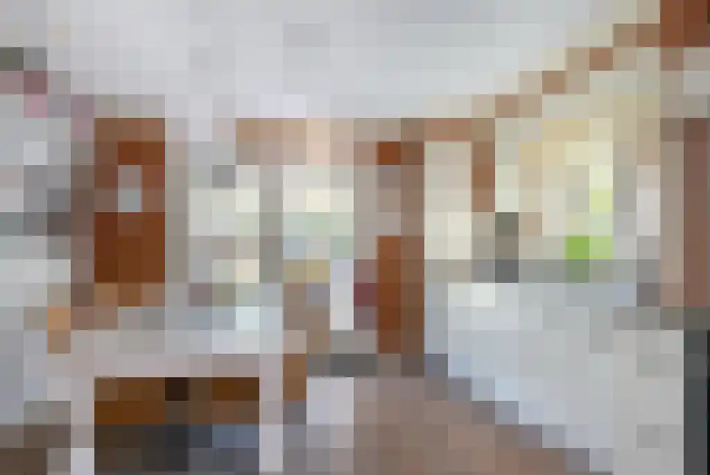Tusschendarp 3 Diever thumbnail 11