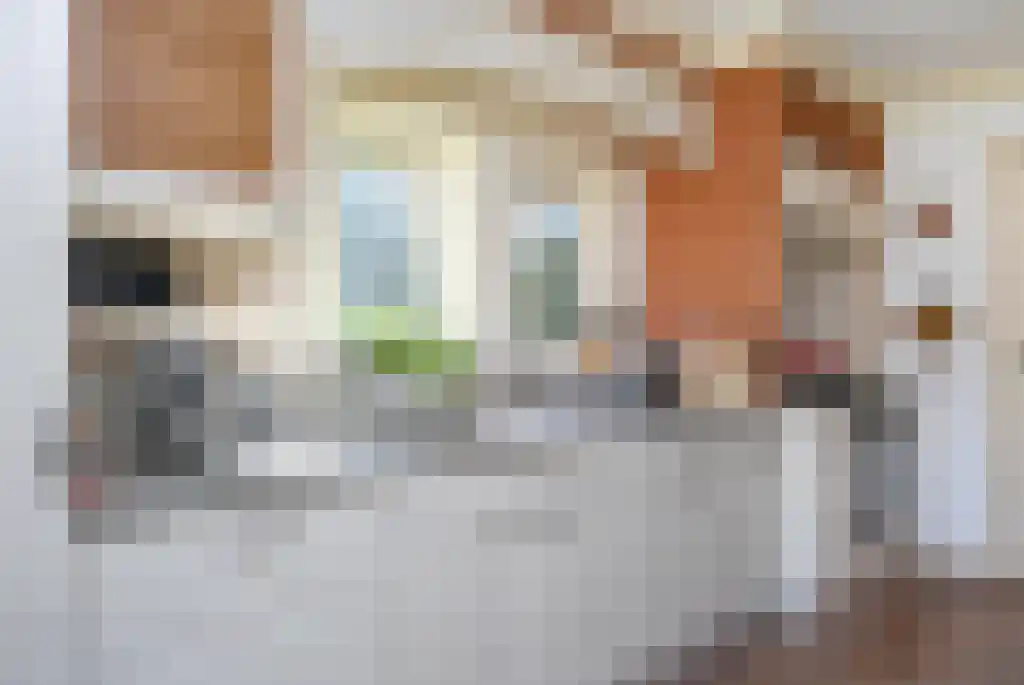 Tusschendarp 3 Diever thumbnail 13
