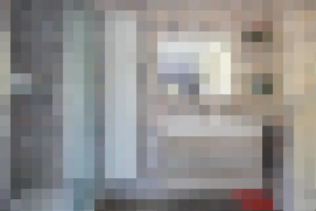 Tusschendarp 3 Diever thumbnail 17