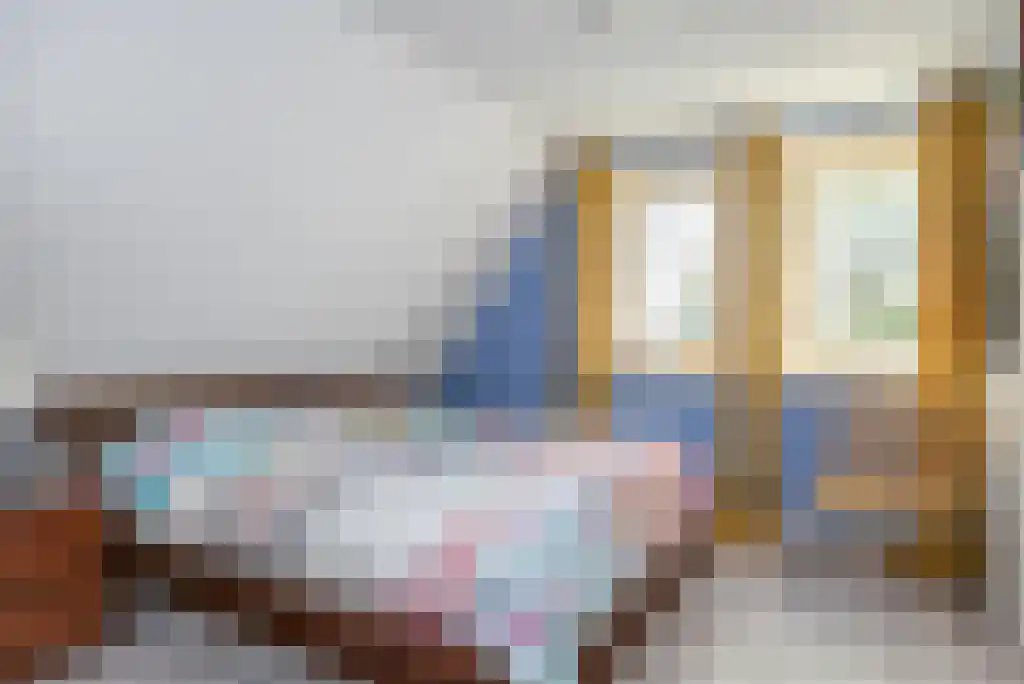 Tusschendarp 3 Diever thumbnail 25