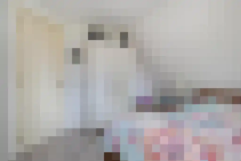 Tusschendarp 3 Diever thumbnail 26