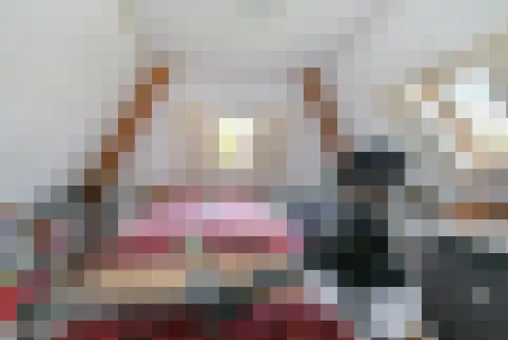 Tusschendarp 3 Diever thumbnail 27