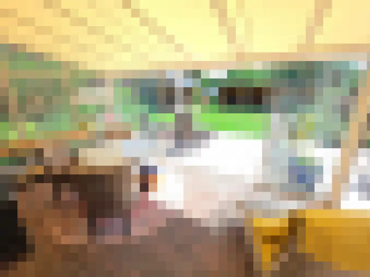 Tusschendarp 3 Diever thumbnail 34