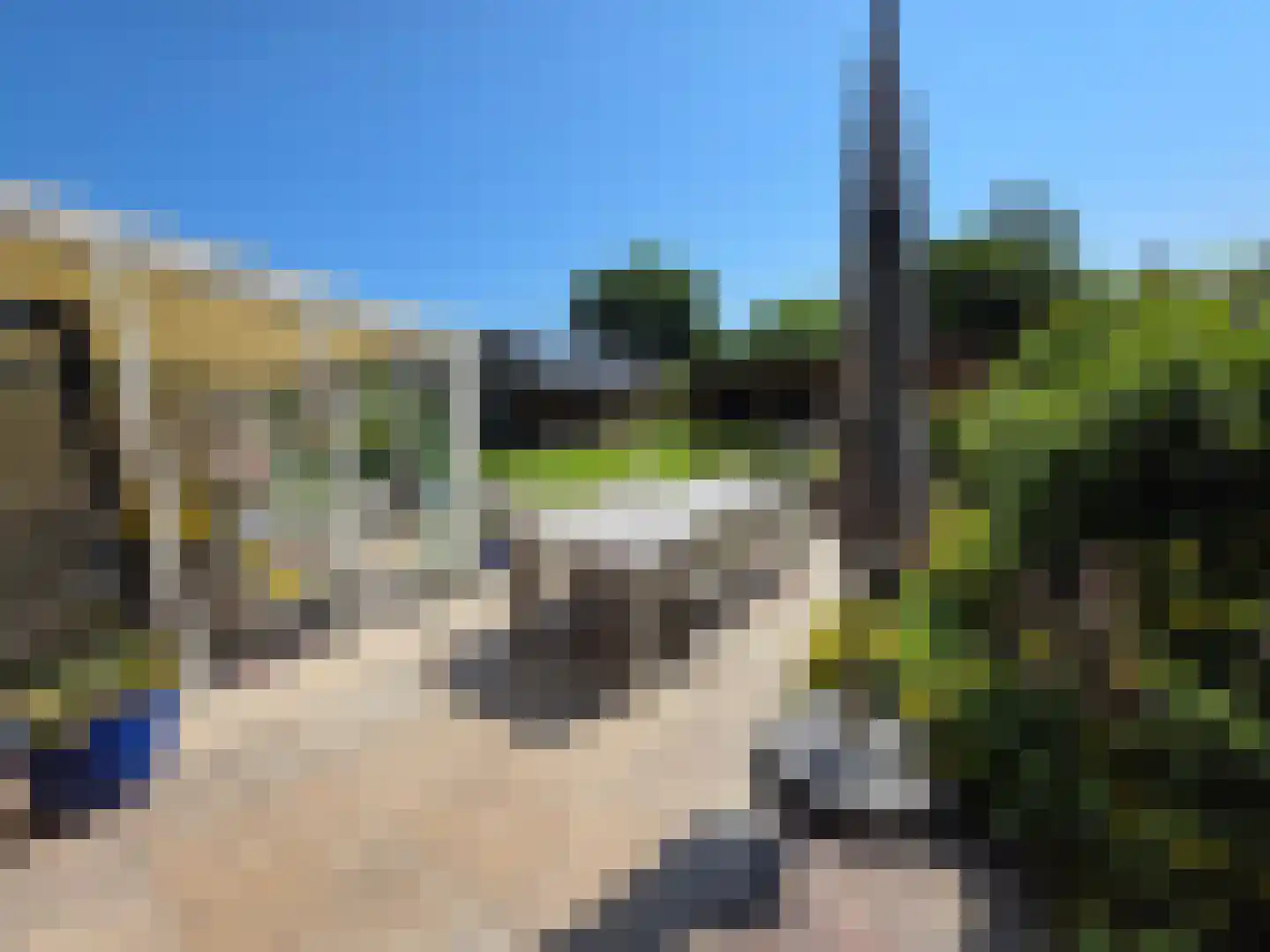 Tusschendarp 3 Diever thumbnail 35