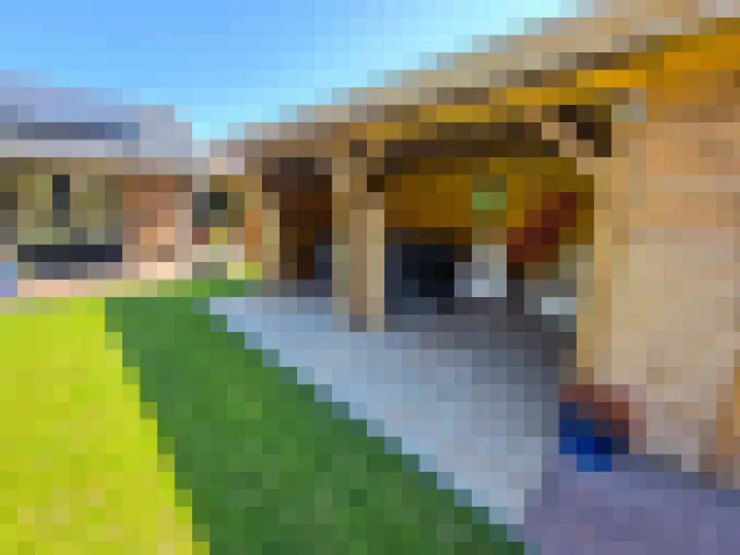 Tusschendarp 3 Diever thumbnail 40
