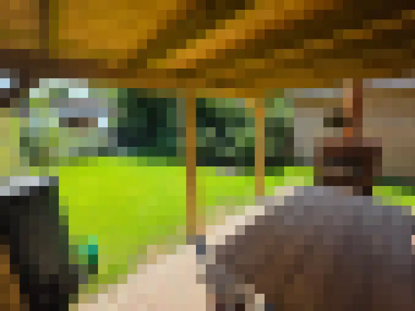 Tusschendarp 3 Diever thumbnail 41