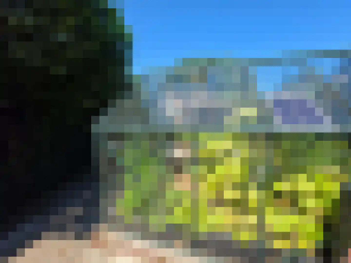 Tusschendarp 3 Diever thumbnail 42