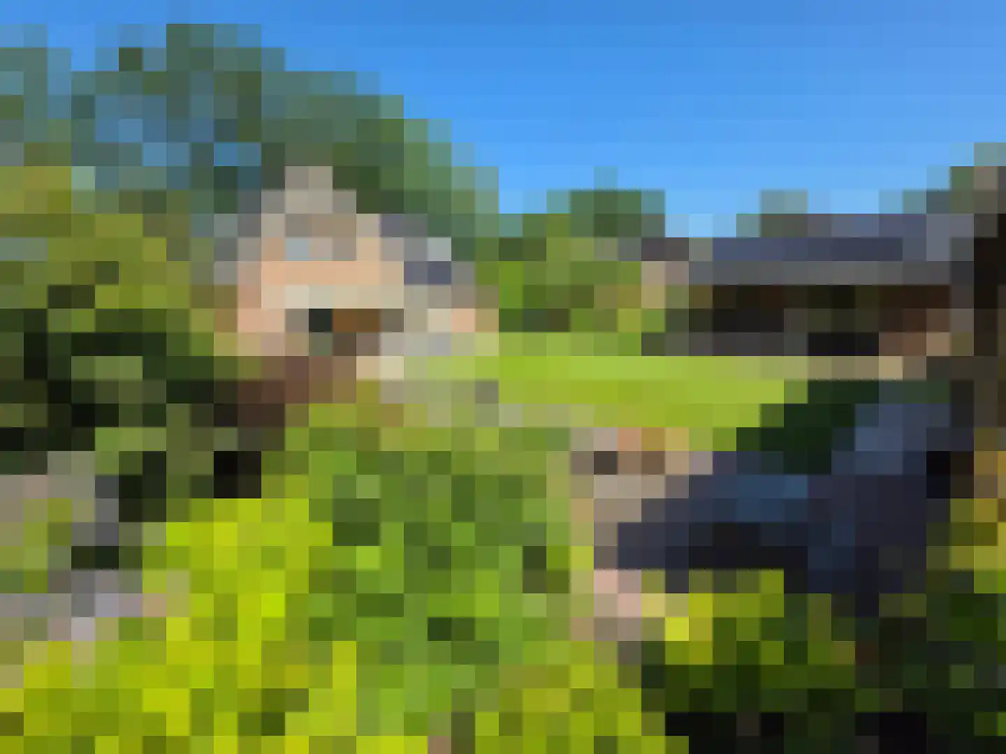 Tusschendarp 3 Diever thumbnail 43
