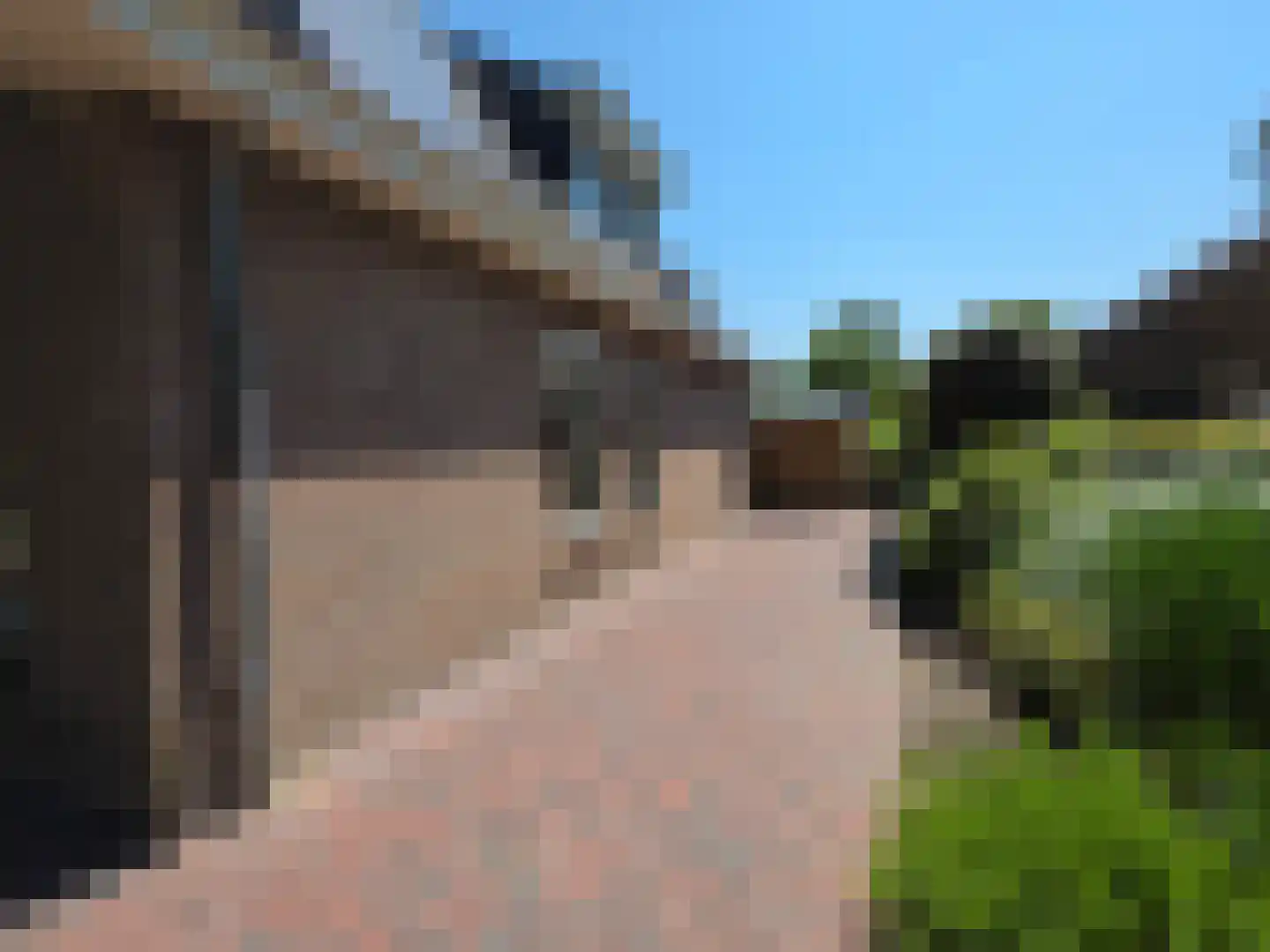 Tusschendarp 3 Diever thumbnail 44