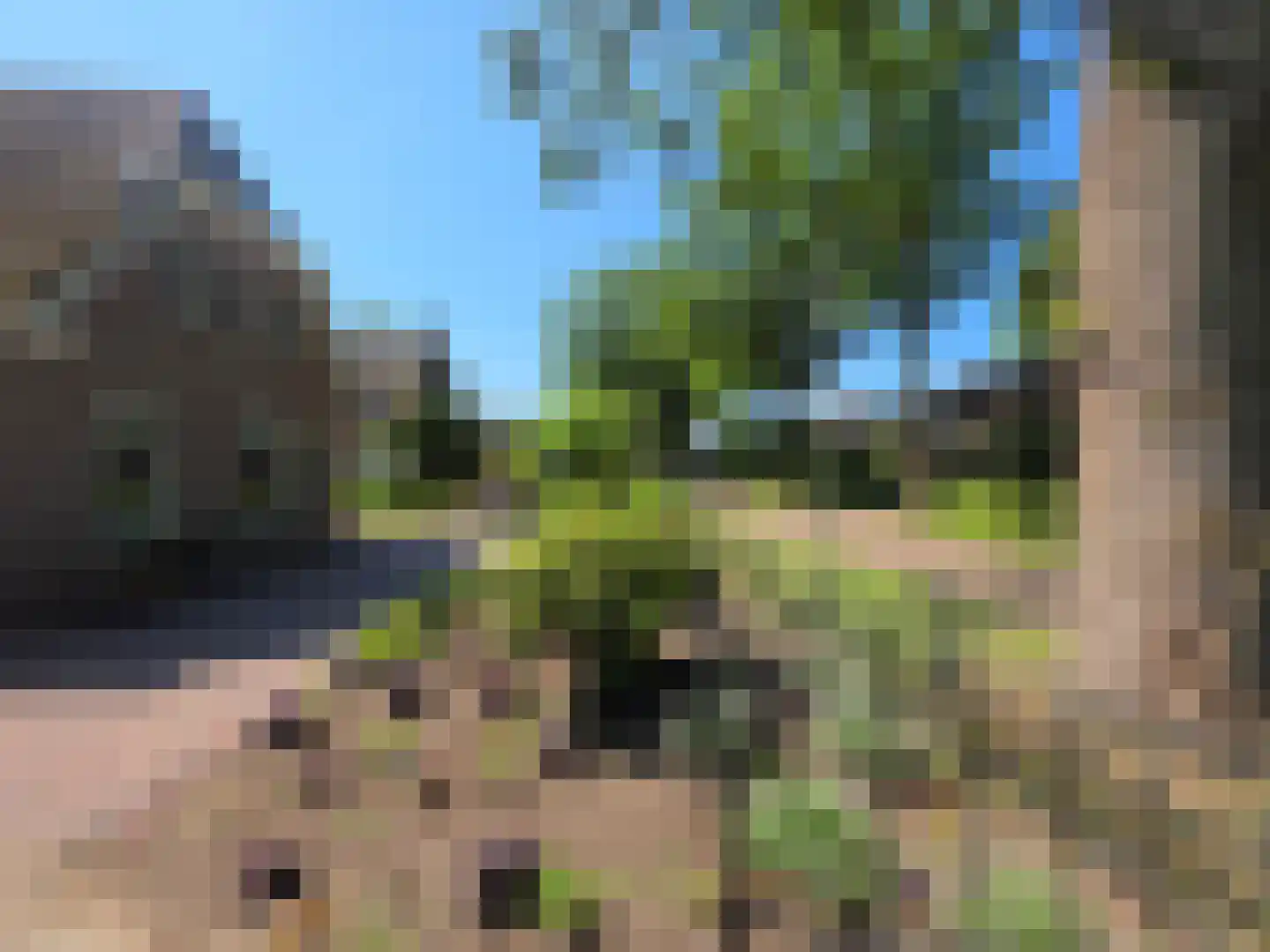 Tusschendarp 3 Diever thumbnail 46