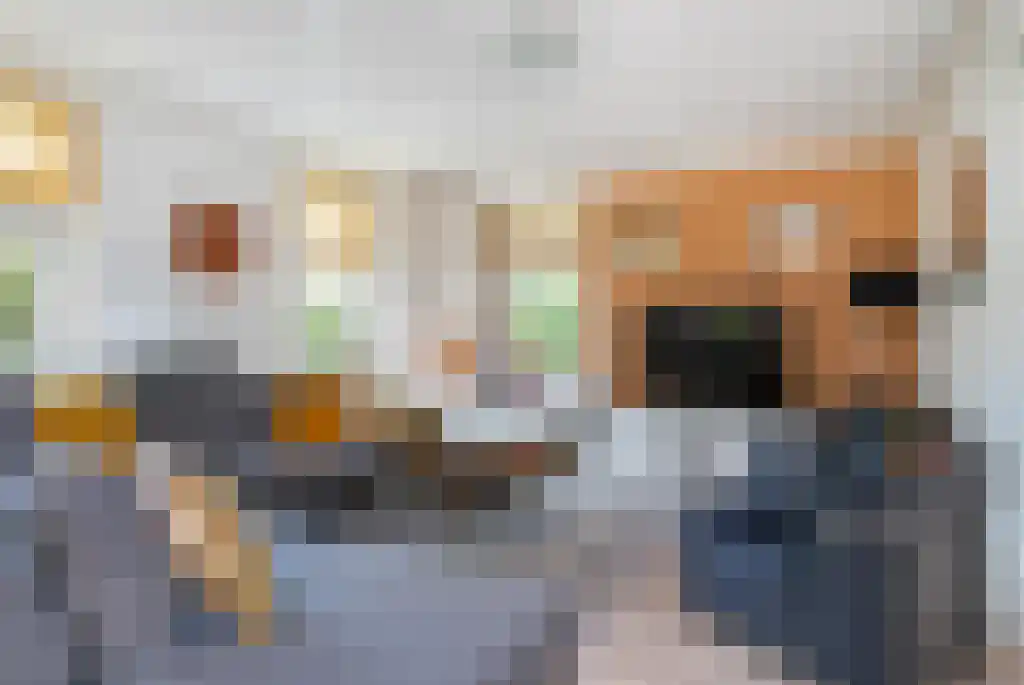 Tusschendarp 3 Diever thumbnail 8