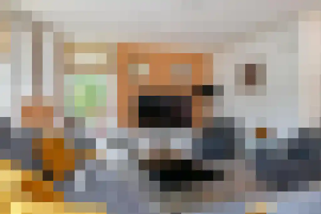 Tusschendarp 3 Diever thumbnail 9
