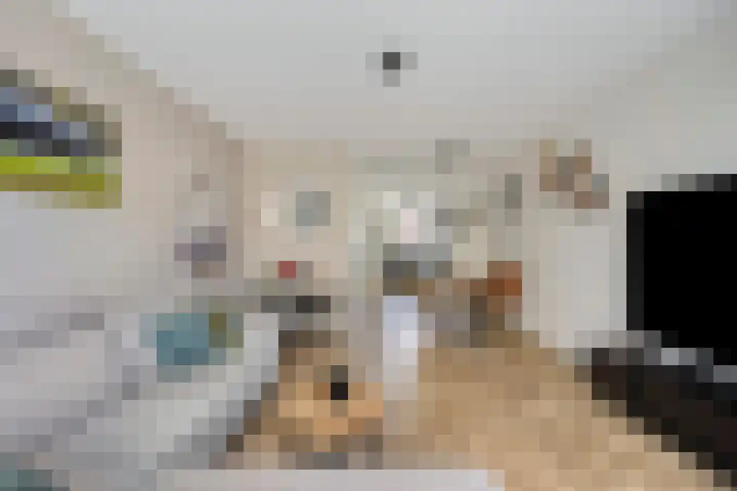 Tusschenstuk 4 Druten thumbnail 14
