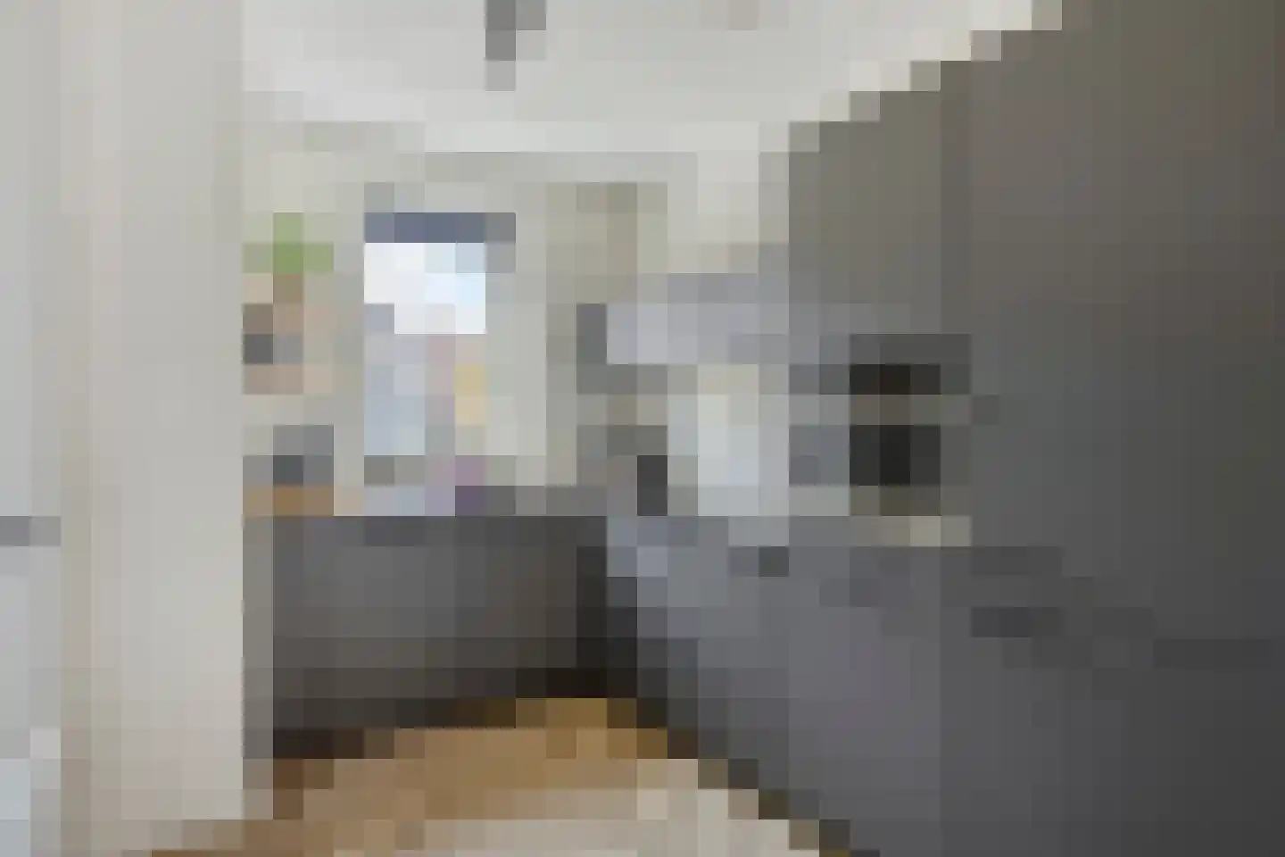 Tusschenstuk 4 Druten thumbnail 15