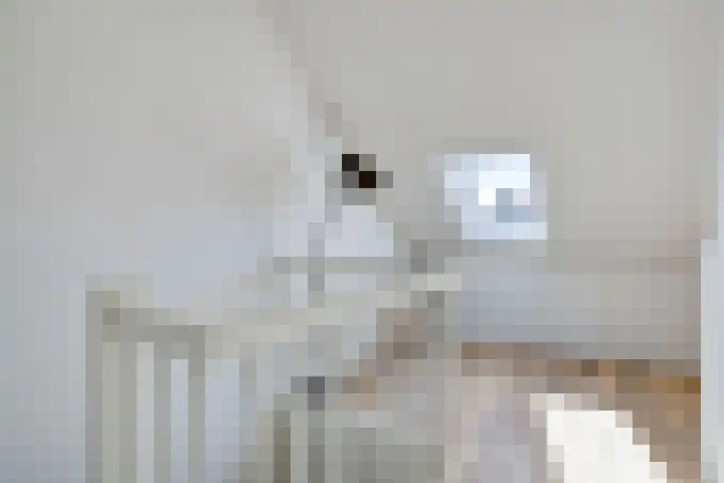 Tusschenstuk 4 Druten thumbnail 22