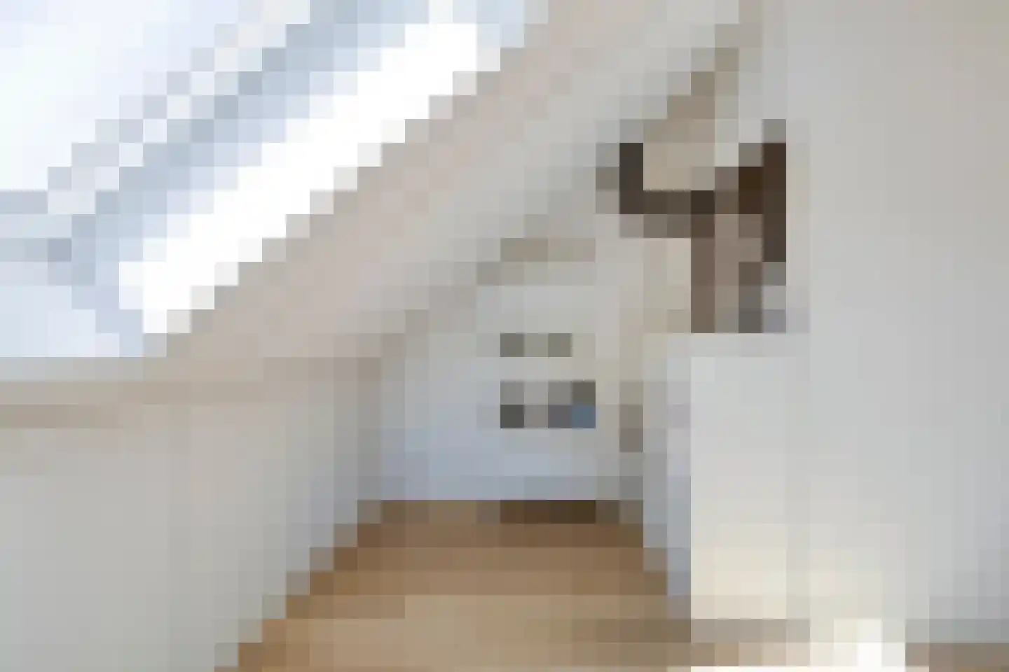 Tusschenstuk 4 Druten thumbnail 23