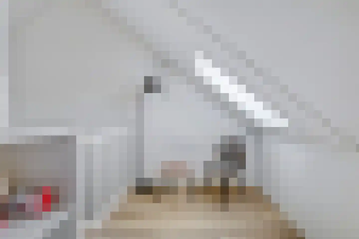 Tusschenstuk 4 Druten thumbnail 24