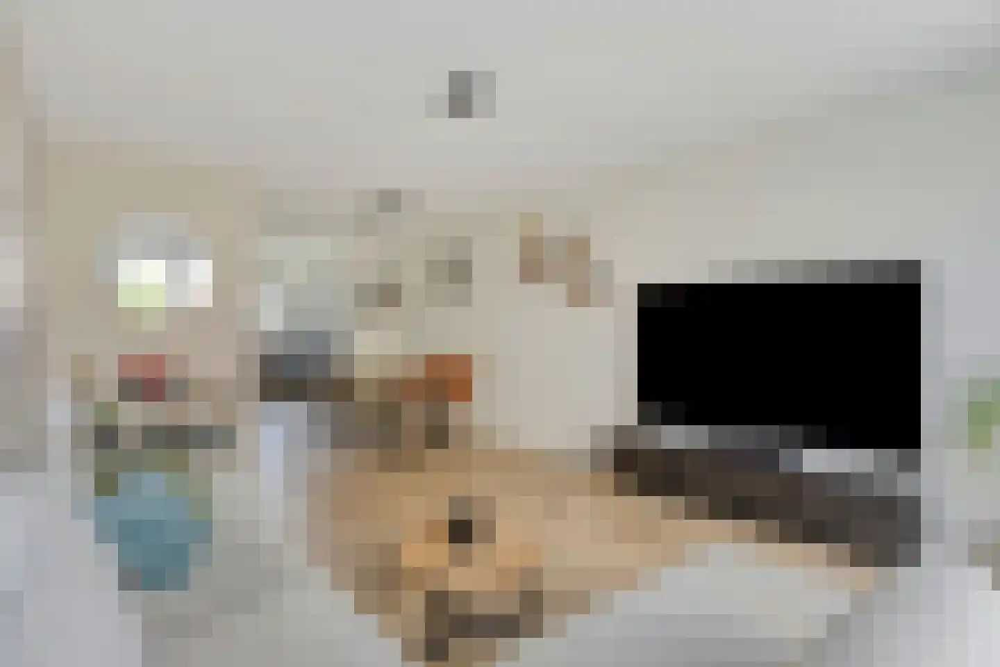 Tusschenstuk 4 Druten foto 3