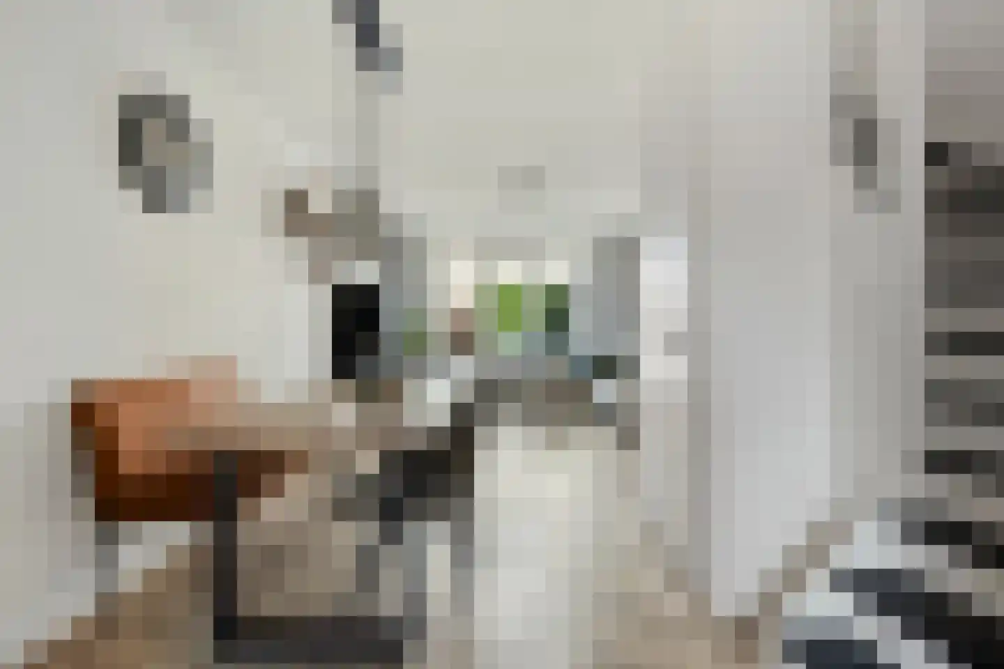 Tusschenstuk 4 Druten thumbnail 9