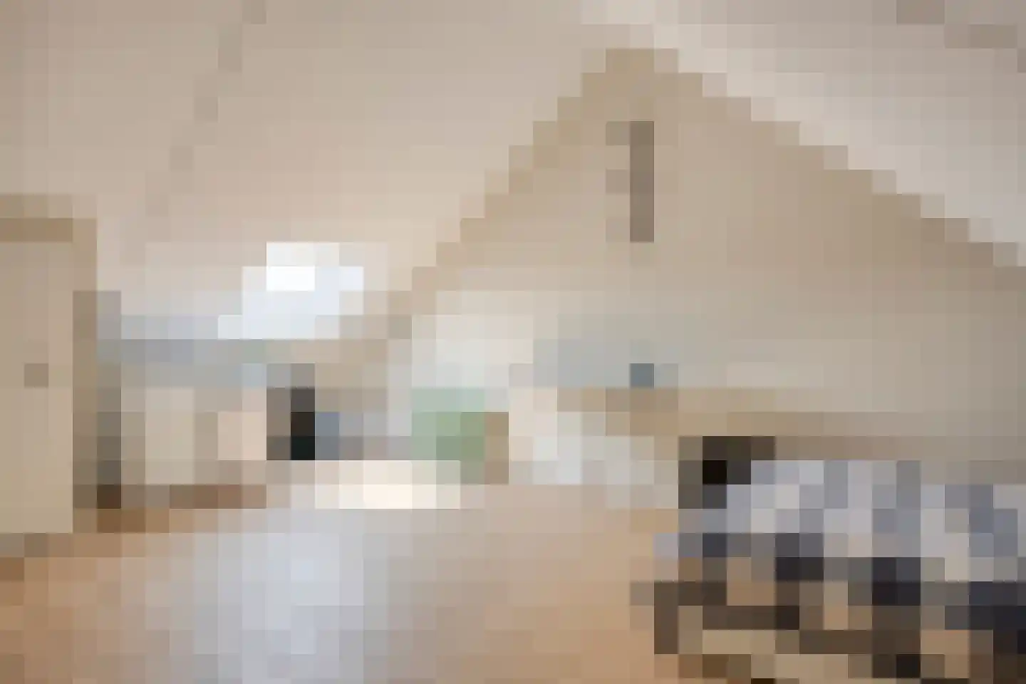 Tusschenstuk 7 Druten thumbnail 25