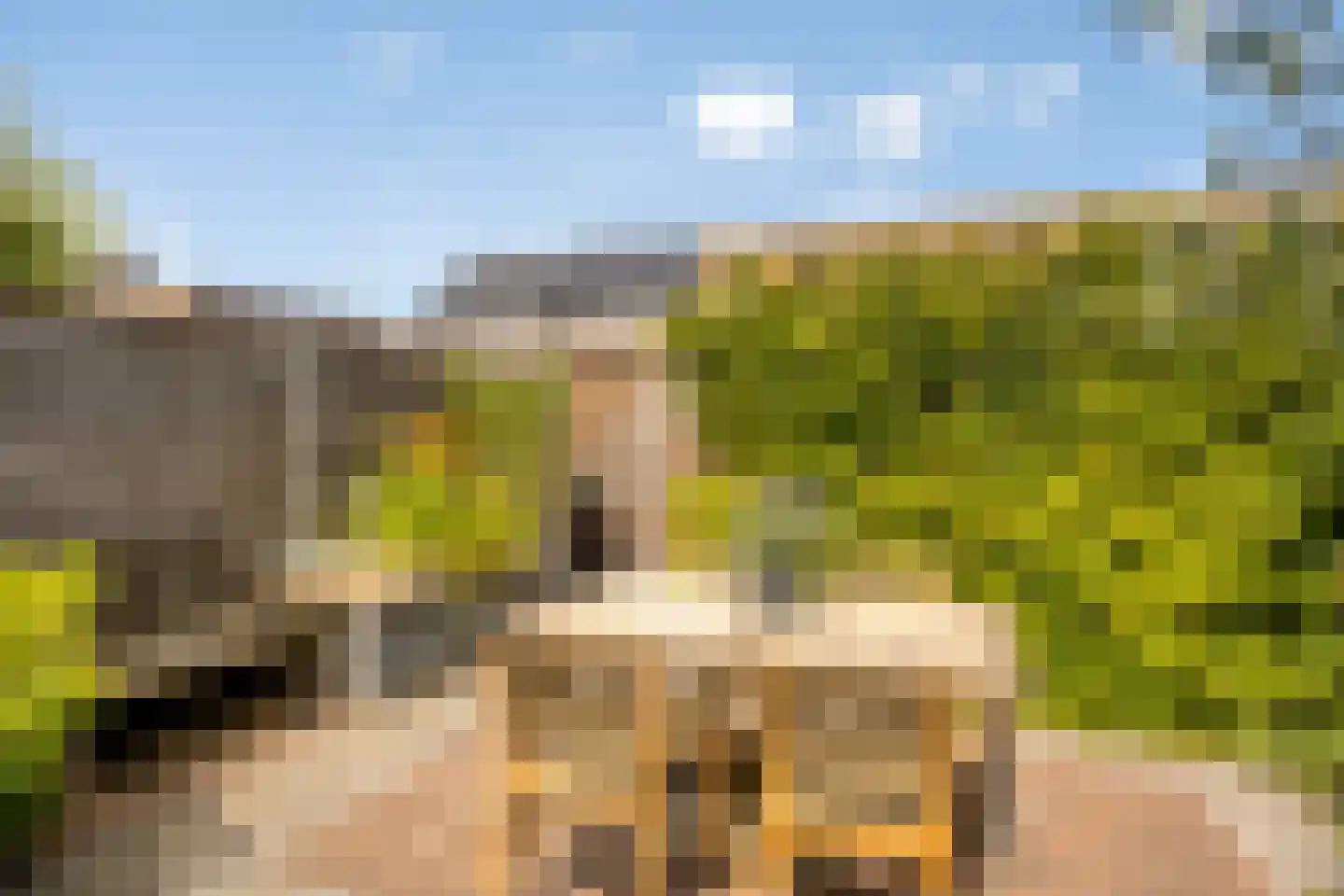 Tusschenstuk 7 Druten thumbnail 29