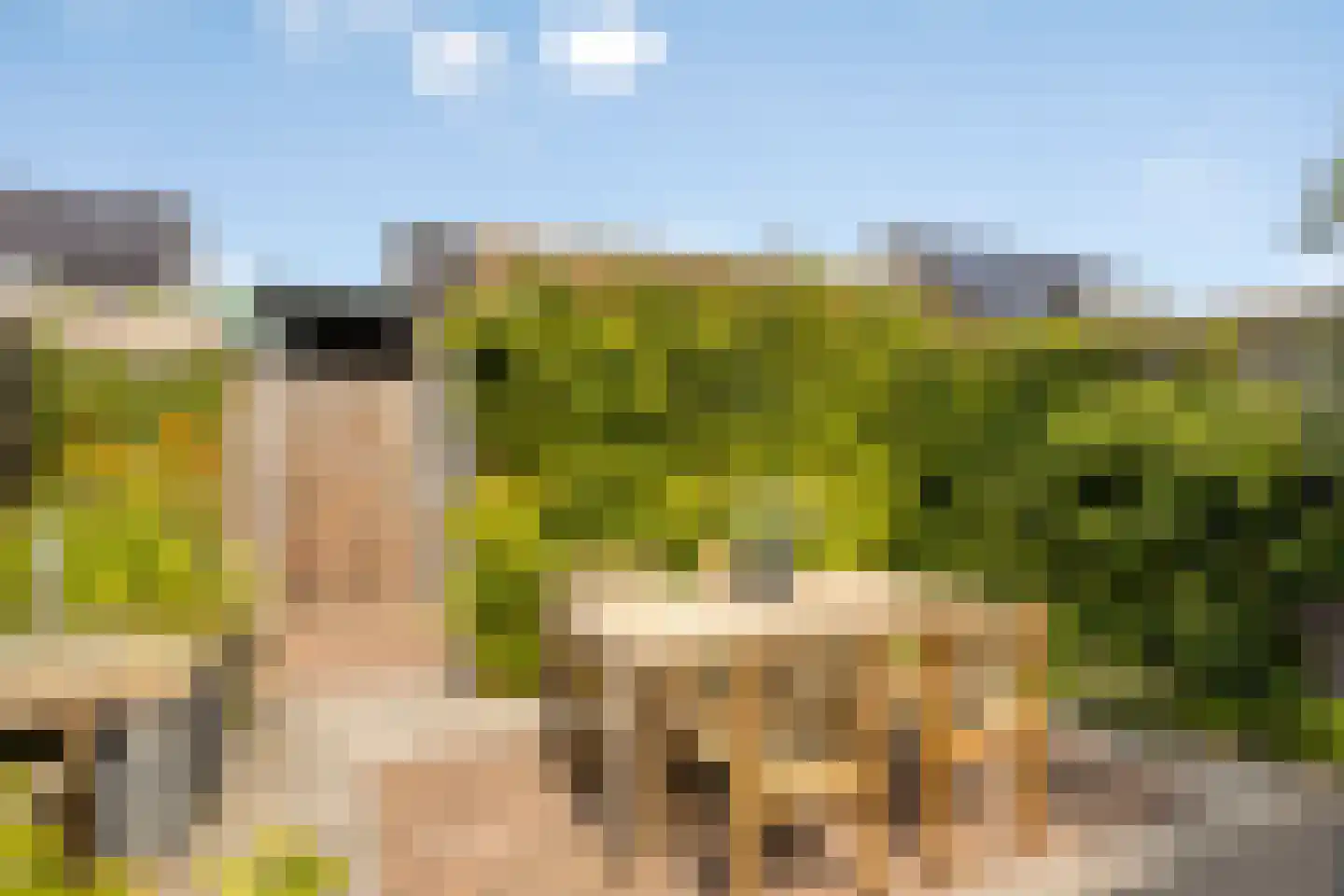 Tusschenstuk 7 Druten thumbnail 30
