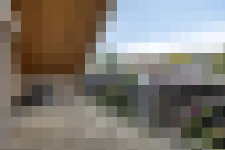 Tusseler 113 Lochem thumbnail 30